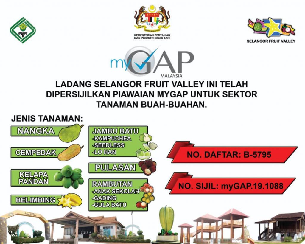 Certificate MyGAP Selangor Fruit Valley certificate-mygap-selangor-fruit-valley